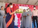 IMG_1733-Copy