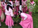 img_4418-copy